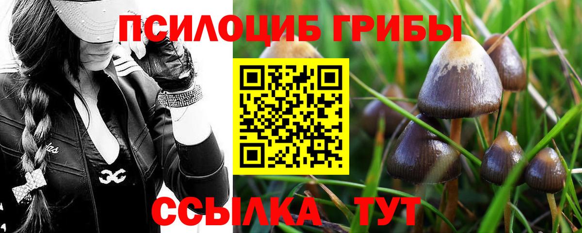 Галлюциногенные грибы MAGIC MUSHROOMS Гусиноозёрск